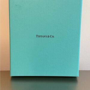Tiffany & Co. Turquoise Gift Box